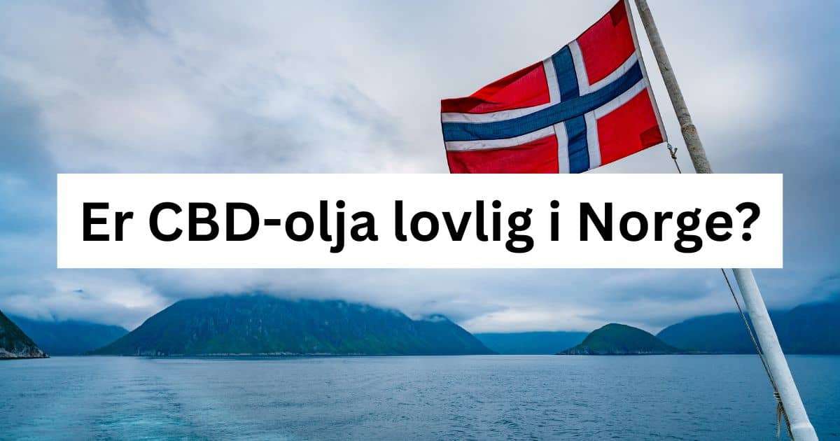 Er CBD-olja lovlig i Norge?