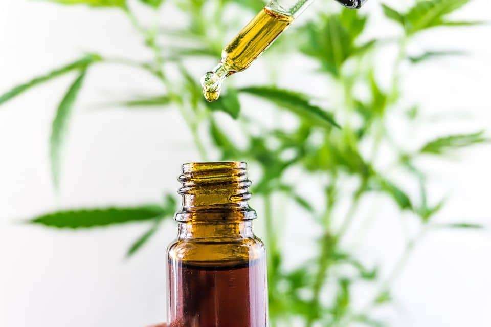 Hva er CBD-olja?