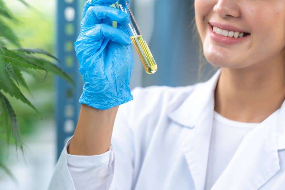 Hva sier forskningen om CBD-olja og smertelindring?

