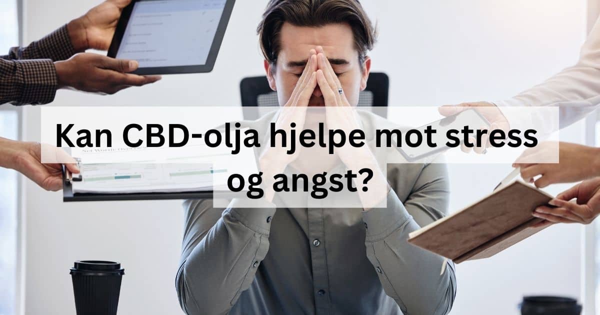 Kan CBD-olja hjelpe mot stress og angst?