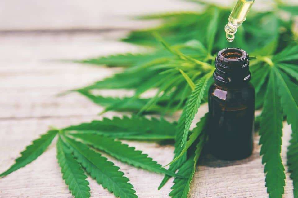 Hva er CBD-olja?