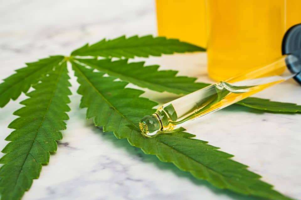 CBD-olja og dens virkningstid