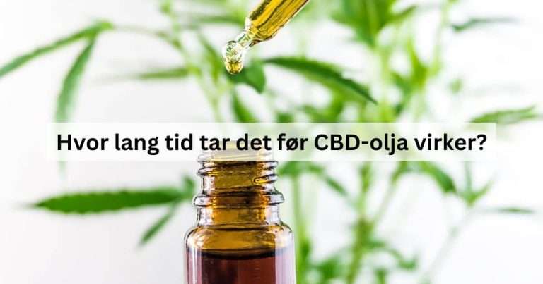 Hvor lang tid tar det før CBD-olja virker?