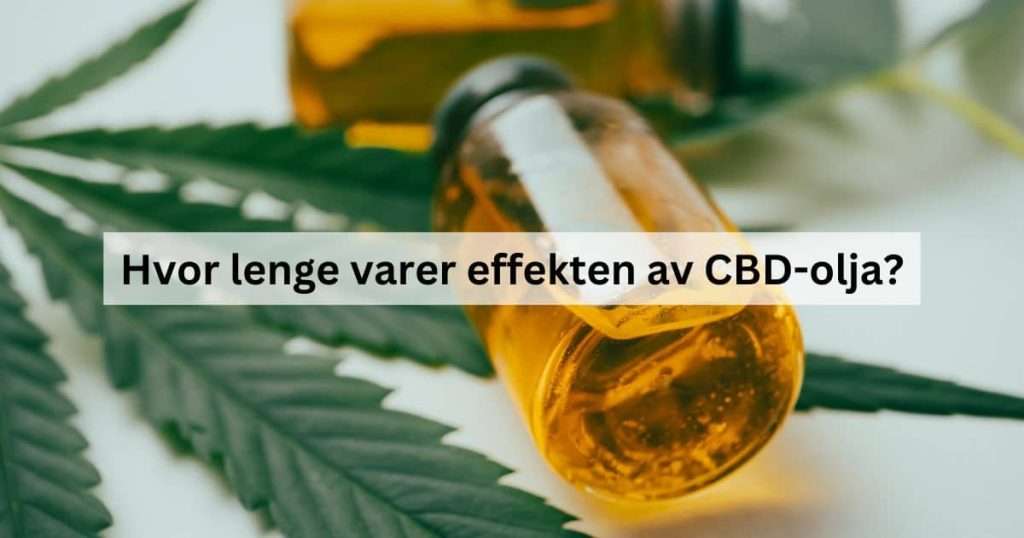 Hvor lenge varer effekten av CBD-olja